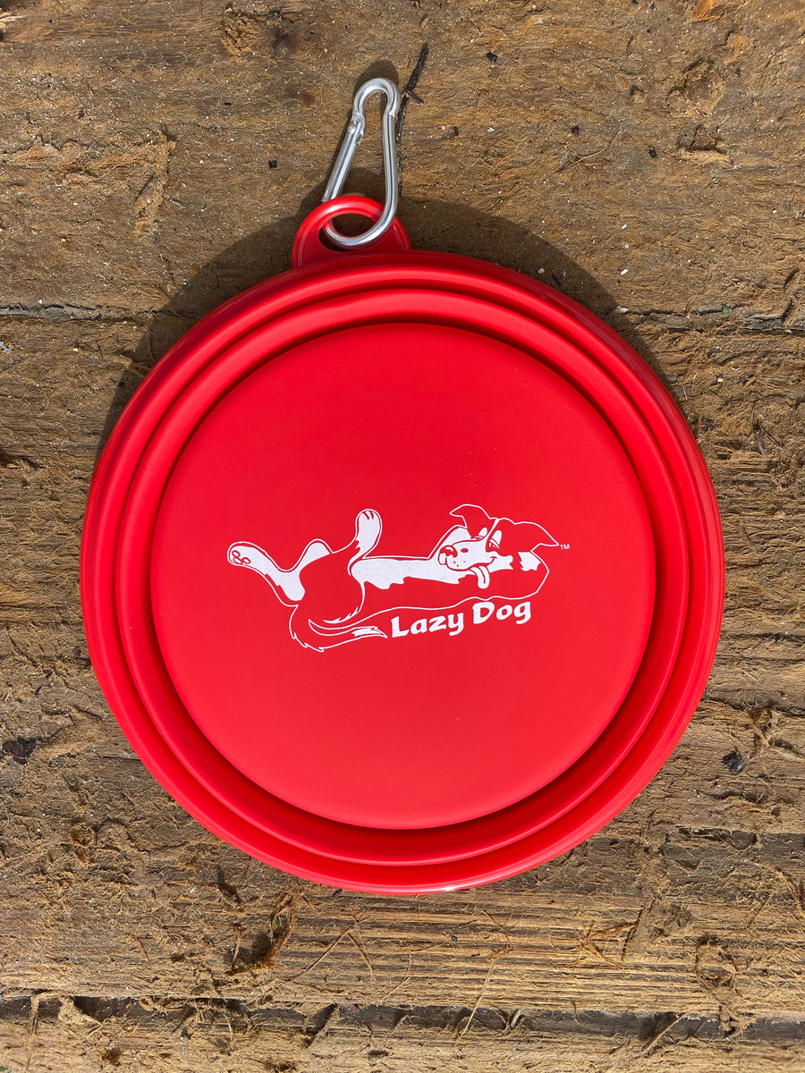 Dog: Silicone Collapsible Lazy Dog Bowl